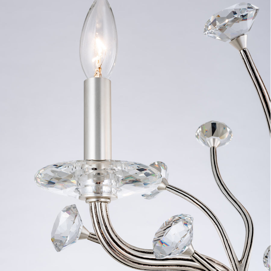 Ilumine Six Light Chandelier